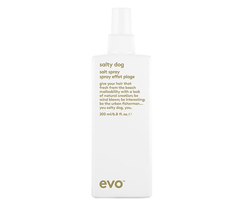 evo salty dog salt spray 200ml - Mr Burrows Hair